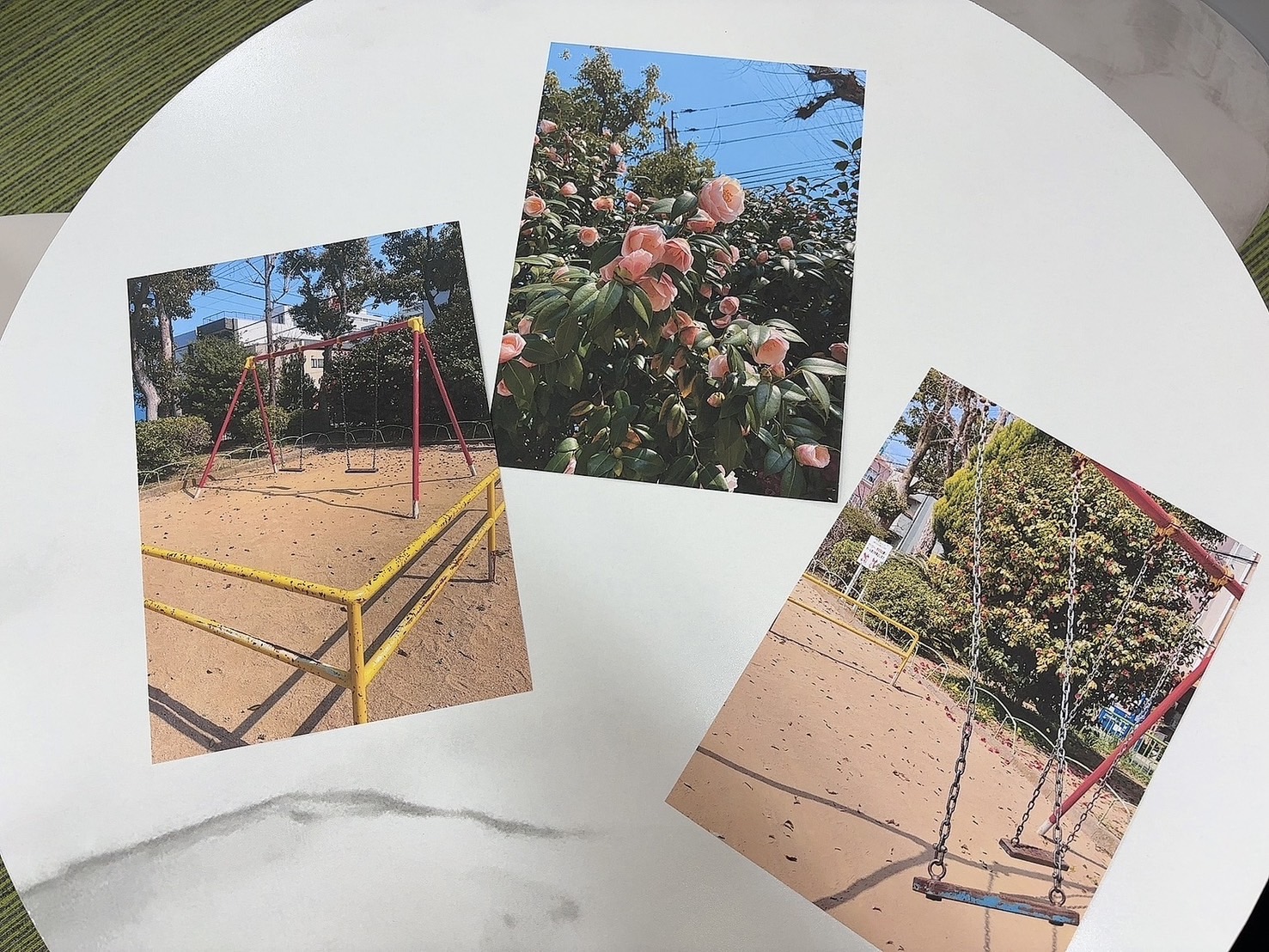 写真コンテスト🌼📷